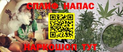 индика Изобильный
