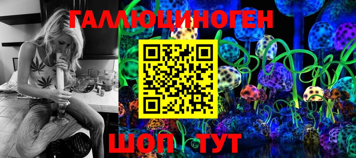 Кандалакша  Галлюциногенные грибы прущие грибы  Вход с VPN  Галлюциногенные грибы ЛСД 