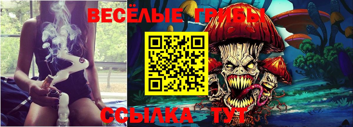 Галлюциногенные грибы мицелий Кандалакша